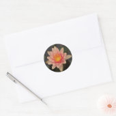 Rond Sticker Pink Water Lily v1 (Enveloppe)