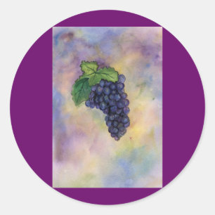 Rond Sticker Pinot Noir Vins