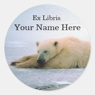 Rond Sticker plaque d'ours polaire