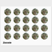Rond Sticker plaque T-Rex Dinosaur (Feuille)