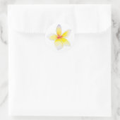 Rond Sticker Plumeria Jaune (Sac)