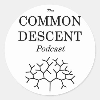 Rond Sticker Podcast Descent