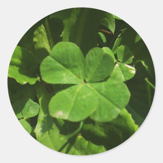 Rond Sticker Porte-bonheur (Devant)