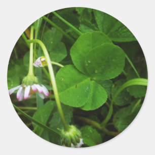Rond Sticker Porte-bonheur - Lucky Charm