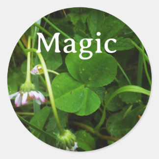 Rond Sticker Porte-bonheur Magic