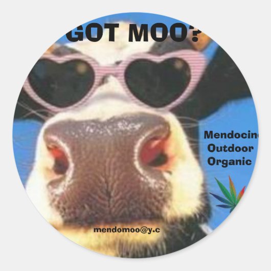 ROND STICKER POT GOT MOO (Devant)
