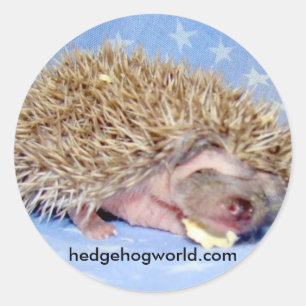 Rond sticker pour bébé doux
