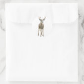 Rond Sticker pour camion blanc (Sac)