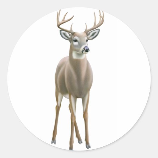 Rond Sticker pour camion blanc (Devant)