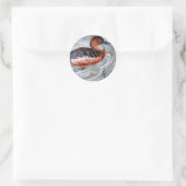 Rond Sticker pour canard de natation (Sac)