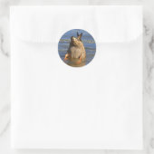 Rond Sticker pour canard haut (Sac)