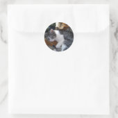 Rond Sticker pour chat (Sac)