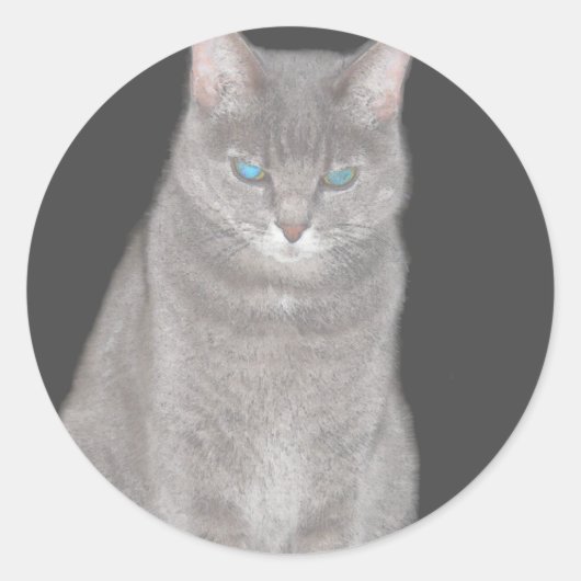 Rond Sticker pour chat gris (Devant)