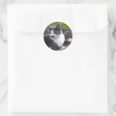 Rond Sticker pour chat gris et blanc (Sac)