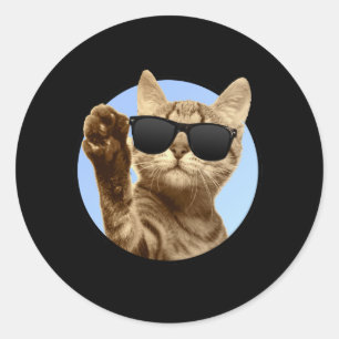 Rond Sticker pour chats cool