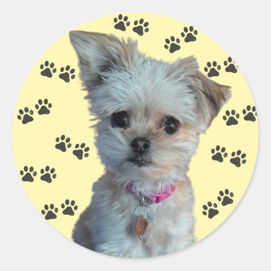 Rond Sticker pour chien (Devant)