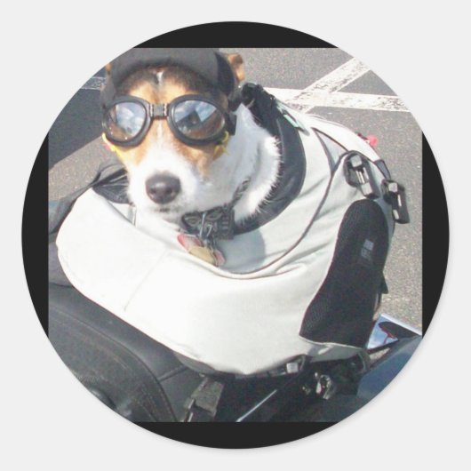 Rond Sticker pour chien de porc (Devant)