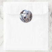 Rond Sticker pour chien d'incendie dalmate (Sac)