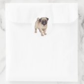 Rond Sticker pour chiot carlin (Sac)