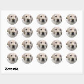 Rond Sticker pour chiot réducteur d'or (Feuille)