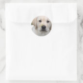 Rond Sticker pour chiot réducteur d'or (Sac)