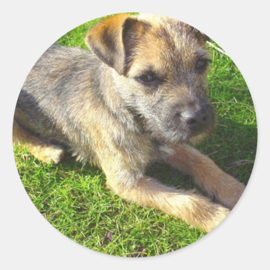 Rond Sticker pour chiot Terrier (Devant)