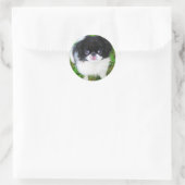 Rond Sticker pour chiot Yoshi (Sac)