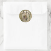 Rond Sticker pour cochon mignon (Sac)