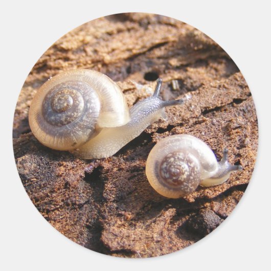 Rond Sticker pour escargots pour bébés (Devant)