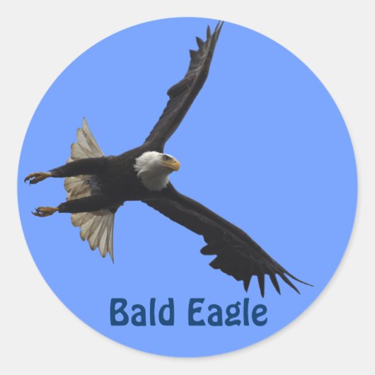 Rond Sticker pour la faune de Bald Eagle Raptor Birdlov (Devant)