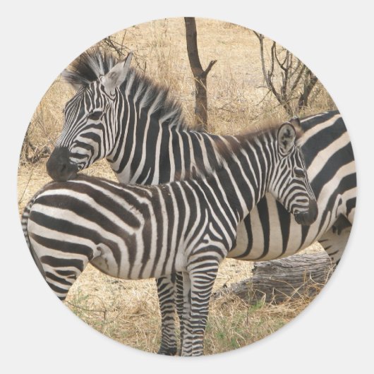 Rond Sticker pour la mère et le bébé Zebra (Devant)