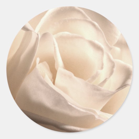 Rond Sticker pour le phoque blanc de mariage d'invitati (Devant)