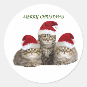 Rond Sticker pour les chatons de Noël