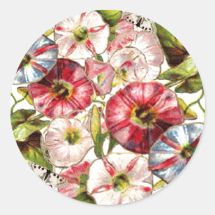 Rond Sticker pour les gloires du matin et /papillons