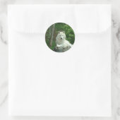 Rond Sticker pour loup arctique (Sac)