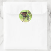 Rond Sticker pour monarque et papillon Queen (Sac)