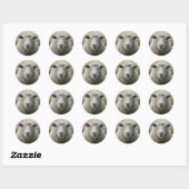 Rond Sticker pour mouton animal (Feuille)