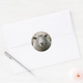 Rond Sticker pour mouton animal (Enveloppe)