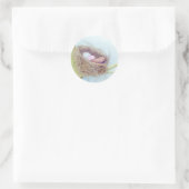 Rond Sticker pour nids d'oiseaux (Sac)