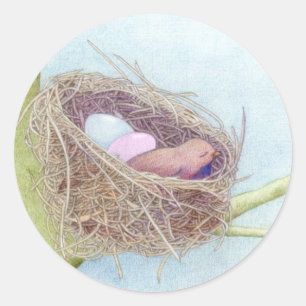 Rond Sticker pour nids d'oiseaux