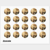 Rond Sticker pour ours Grizzly (Feuille)
