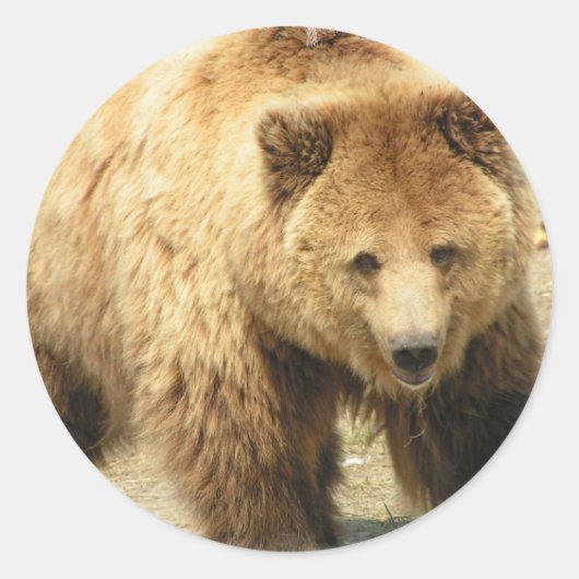 Rond Sticker pour ours Grizzly (Devant)