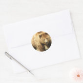 Rond Sticker pour ours Grizzly (Enveloppe)