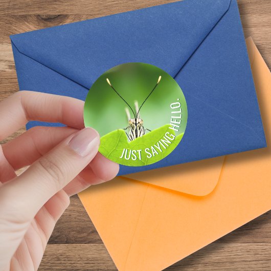 Rond Sticker pour papillon animal à toute occasion amus