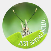 Rond Sticker pour papillon animal à toute occasion amus (Devant)