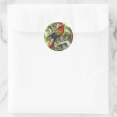 Rond Sticker pour perroquet Macaw (Sac)