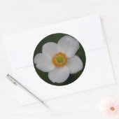 Rond sticker pour pétales blancs (Enveloppe)