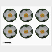 Rond sticker pour pétales blancs (Feuille)