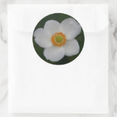 Rond sticker pour pétales blancs (Sac)
