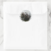 Rond Sticker pour phoques pour bébés (Sac)
